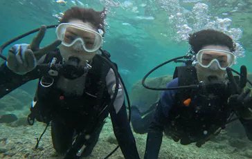 武藤潜水に投稿された画像（2023/10/4）