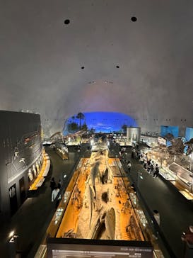 福井県立恐竜博物館に投稿された画像（2023/10/4）