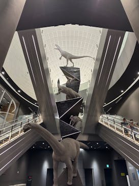 福井県立恐竜博物館に投稿された画像（2023/10/4）