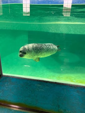 下田海中水族館に投稿された画像（2023/10/4）