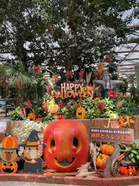 神戸どうぶつ王国に投稿された画像（2023/10/4）