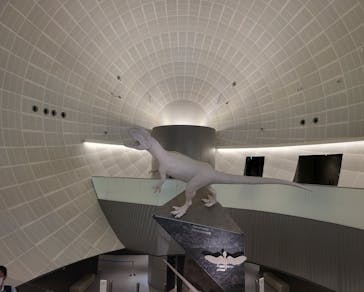 福井県立恐竜博物館に投稿された画像（2023/10/4）