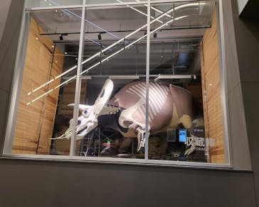 福井県立恐竜博物館に投稿された画像（2023/10/4）