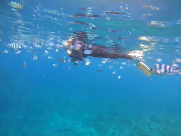 武藤潜水に投稿された画像（2023/10/4）