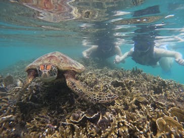 宮古島 ADVENTURE PiPi（ミヤコジマ アドベンチャー ピピ）に投稿された画像（2023/10/4）