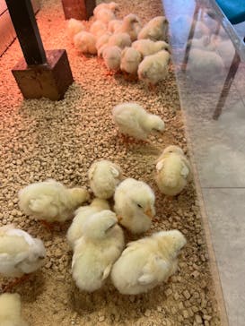 Moff animal world BIGHOPガーデンモール印西店に投稿された画像（2023/10/4）