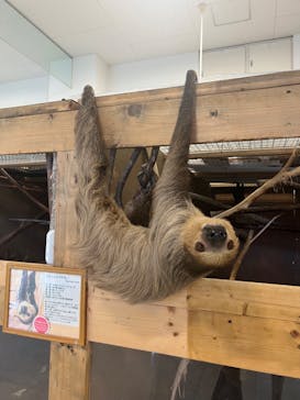 Moff animal world BIGHOPガーデンモール印西店に投稿された画像（2023/10/4）