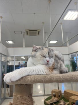 Moff animal world BIGHOPガーデンモール印西店に投稿された画像（2023/10/4）