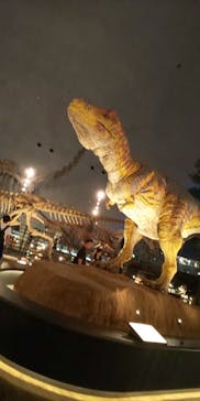 福井県立恐竜博物館に投稿された画像（2023/10/4）