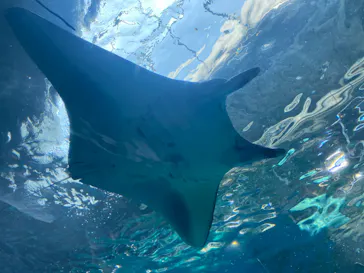 マクセル アクアパーク品川に投稿された画像（2023/10/4）