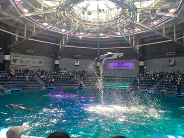 マクセル アクアパーク品川に投稿された画像（2023/10/4）