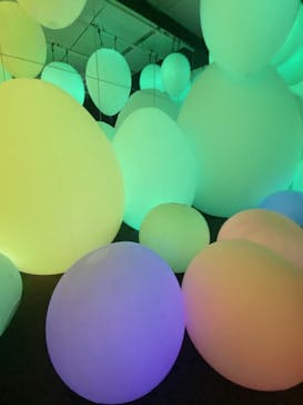 チームラボに投稿された画像（2023/10/4）