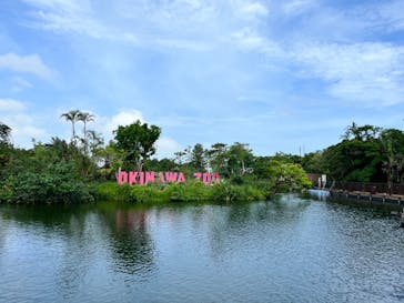 沖縄こどもの国に投稿された画像（2023/10/4）