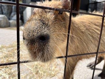 沖縄こどもの国に投稿された画像（2023/10/4）