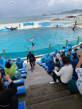 鴨川シーワールドに投稿された画像（2023/10/4）
