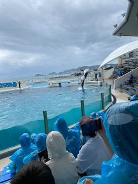 鴨川シーワールドに投稿された画像（2023/10/4）