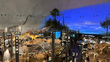 福井県立恐竜博物館に投稿された画像（2023/10/4）