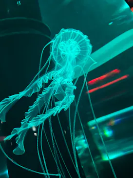 マクセル アクアパーク品川に投稿された画像（2023/10/4）