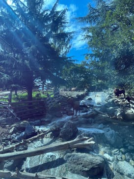 群馬サファリパークに投稿された画像（2023/10/4）