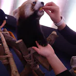 横浜・八景島シーパラダイスに投稿された画像（2023/10/5）