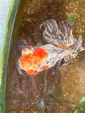 環境水族館アクアマリンふくしまに投稿された画像（2023/10/5）