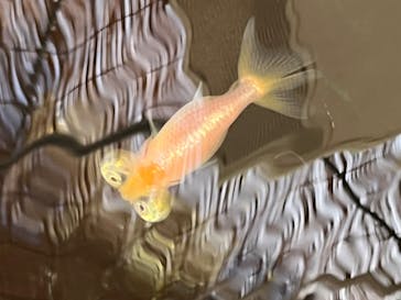 環境水族館アクアマリンふくしまに投稿された画像（2023/10/5）