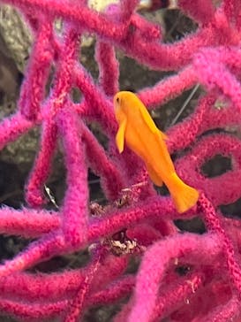 環境水族館アクアマリンふくしまに投稿された画像（2023/10/5）