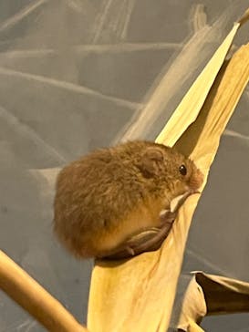 環境水族館アクアマリンふくしまに投稿された画像（2023/10/5）