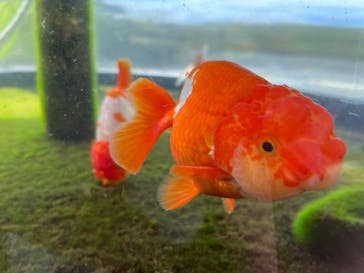 環境水族館アクアマリンふくしまに投稿された画像（2023/10/5）