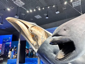 特別展「海　―生命のみなもと―」（国立科学博物館）に投稿された画像（2023/10/5）