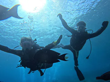 武藤潜水に投稿された画像（2023/10/5）