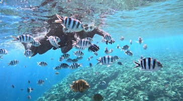 青の洞窟専門店　沖縄ダイビングショップ和に投稿された画像（2023/10/5）