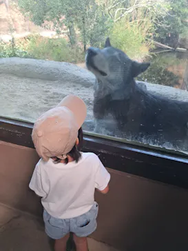 神戸どうぶつ王国に投稿された画像（2023/10/5）