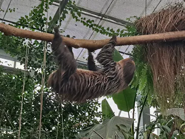 神戸どうぶつ王国に投稿された画像（2023/10/5）