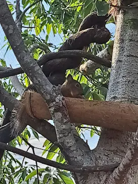 神戸どうぶつ王国に投稿された画像（2023/10/5）