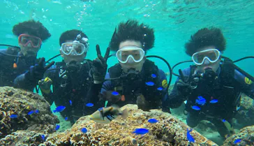 武藤潜水に投稿された画像（2023/10/5）