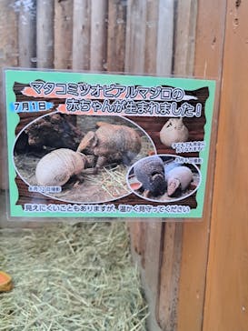 アソビュー！ポイントに投稿された画像（2023/10/5）