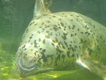 アソビュー！ポイントに投稿された画像（2023/10/5）