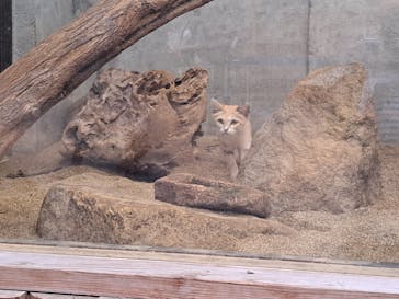 アソビュー！ポイントに投稿された画像（2023/10/5）