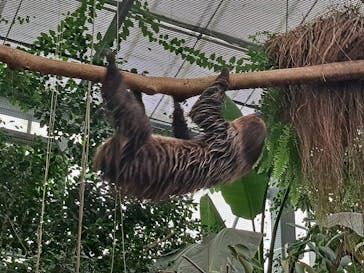 アソビュー！ポイントに投稿された画像（2023/10/5）