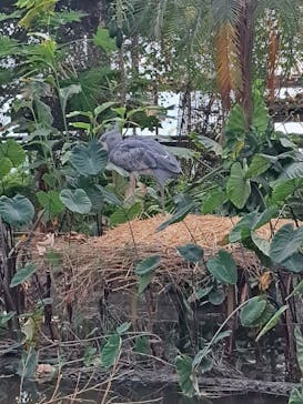 アソビュー！ポイントに投稿された画像（2023/10/5）