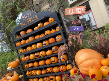 ひらかたパークに投稿された画像（2023/10/5）