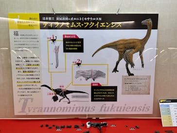 福井県立恐竜博物館に投稿された画像（2023/10/5）
