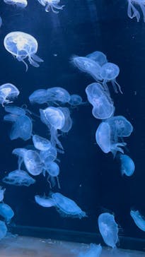 AOAO SAPPOROに投稿された画像（2023/10/5）