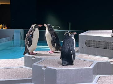 AOAO SAPPOROに投稿された画像（2023/10/5）