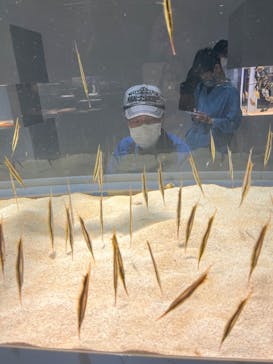 AOAO SAPPOROに投稿された画像（2023/10/5）