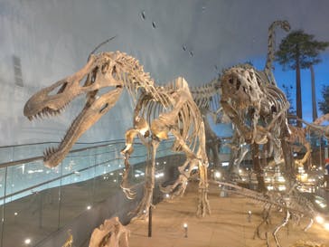 福井県立恐竜博物館に投稿された画像（2023/10/5）