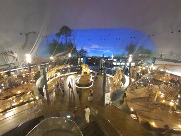 福井県立恐竜博物館に投稿された画像（2023/10/5）