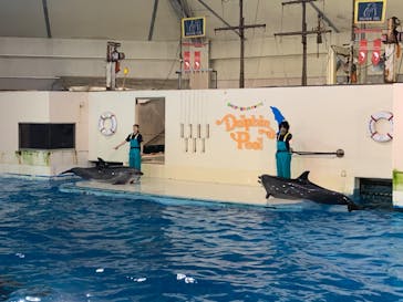 登別マリンパークニクスに投稿された画像（2023/10/5）