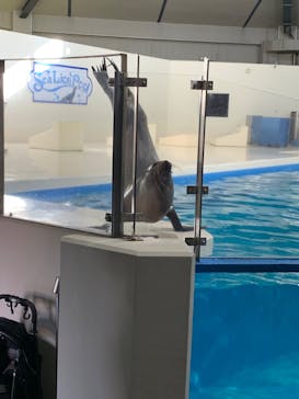 登別マリンパークニクスに投稿された画像（2023/10/5）